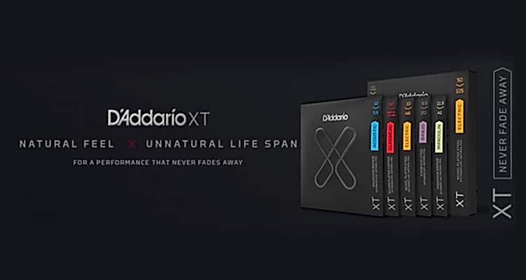 daddarioxt